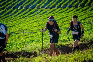 BIB: 7375
                            <button type="button" onclick="openModal(19160347)" class="btn btn-primary btn-sm float-right btn-popup" data-toggle="modal" data-target=".modal-high-quality">
                        <i class="fas fa-shopping-cart"></i> Add to Cart
                    </button>
                                            <button type="button" onclick="isThisMe(19160347, true)" class="btn btn-success btn-sm float-right btn-popup btn-isme hidden" data-toggle="tooltip" data-placement="bottom" title="นี่คือรูปของคุณใช่ไหม คลิกที่นี่เพื่อเอาเข้าอัลบั้ม">
                        <i class="fas fa-plus"></i> Add to album
                    </button>
                    <button type="button" onclick="isThisMe(19160347, false)" class="btn btn-warning btn-sm float-right btn-popup btn-isnotme hidden">
                        <i class="fas fa-ban"></i> Remove from album
                    </button>